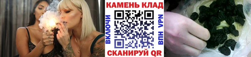 где купить Чегем Гашиш hashish