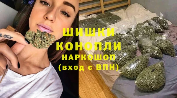 ешки Туринск