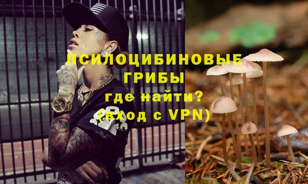 ешки Туринск