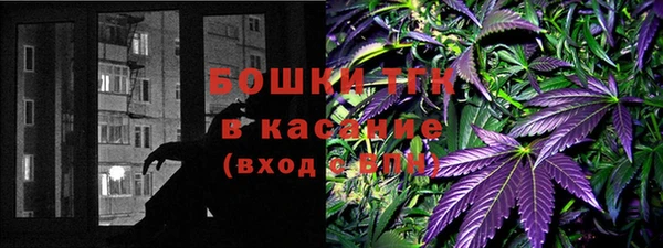 ешки Туринск