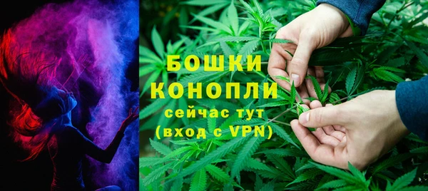дмт Тутаев