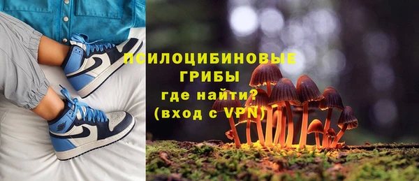 дурь Тында