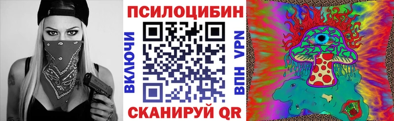 Псилоцибиновые грибы MAGIC MUSHROOMS  хочу наркоту  кракен рабочий сайт  Чегем 